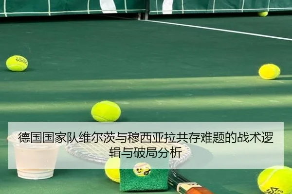 德国国家队维尔茨与穆西亚拉共存难题的战术逻辑与破局分析