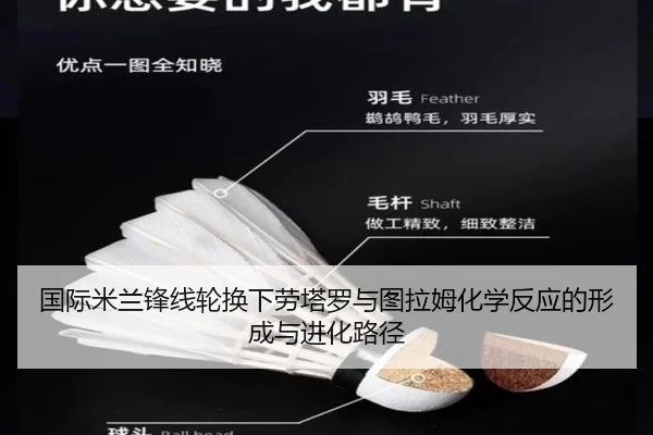 国际米兰锋线轮换下劳塔罗与图拉姆化学反应的形成与进化路径